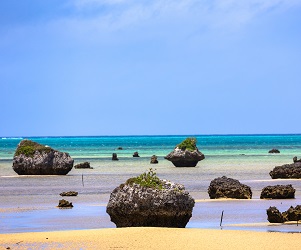 佐和田の浜